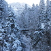 Tiefster Winter im Fruttli