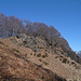 Corona dei Pinci