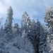 Winterstimmung