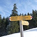Wegweiser oberhalb Wittere