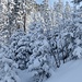 Hier ist noch definitv Winter