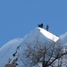 I tre eroi all'attacco del Torrenzuolo [u ivanbutti], [u massimo61], [u beppe]