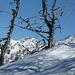 Disgrazia in cornice