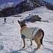 Suni ammira il bel bivacco! E bravo al Bradipo che ci ha dato lo spunto di salire quassù!