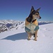 Super Suni in vetta al Pizzo Torrenzuolo!