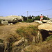 I dolmen di Rondossec a Plouharnel, <br />Provenendo da Carnac si trovano a sinistra della D781, poco prima del passaggio a livello, vi si accede per una stradina. Sono tre dolmen a corridoio, di cui uno ha anche una camera laterale, inglobati in un cairn circolare. <br />Datano fra il 4500 ed il 4000 A.C. <br />.