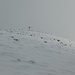 20cm Neuschnee auf Dreck und Kuhtritten: beinahe ideale Bedingungen am Gipfelhang
