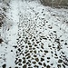 Sull'acciottolato, la neve attacca tra le fughe dei sassi