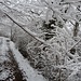 Sulla strada