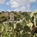 Għar Dalam - Ausblick aus dem Außenbereich (zwischen Höhle und Museum).
