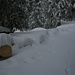 a lot of snow (III)<br />Allmeindswald<br />