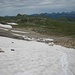 Abwärts geht es rassig auf den Altschneefelder mit Sliden