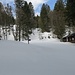 Schnapsgrotze - hier verlasse ich die "Strasse" und folge im lichten Wald dem Wanderweg.