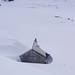 Schnee hats noch, auf der Alp Selun.