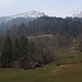 Auf der Alp Schluchen (782m) ist der Winter endlich dem Frühling gewichen. Weit über der Alp ist der Plättlispitz (1764m).