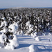 Verschneites Lappland