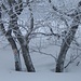 Wanderzeichen am Baum in der Schneewehe
