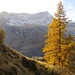 Val d'Aosta- Valle di Gressoney-Testa Grigia
