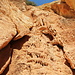 Il-Maqluba - Blick entlang der Felswände an der Einsturzstelle. Der Kalkstein tritt hier in interessanten Strukturen und Gebilden zutage.