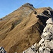 Blick vom Gipfel auf den 400hm höheren Wildhuser Schafberg