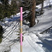 paline rosa per segnalare percorso ciaspole e scialpinismo