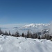 Salendo all'Alpe Zocca