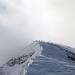 Eine Skitourengruppe entert den Gipfel des Leistchamm