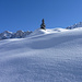 Winter pur