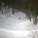 Il corridoio boschivo che adduce (in buona salita e su neve portante) al rifugio Sant'Anna