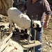 Schaf beim Coiffeur in Hohtenn Dorf