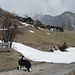 Erste Schneefelder auf Alp Tatz