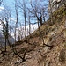 Der Weg von Grèd auf Crös