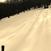 Come si nota, da questo punto, poco oltre il rifugio Sant'Anna, la neve è vergine e la traccia da scoprire e battere: molto faticoso e molto divertente!!