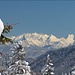 schöner Blick zu den Berchtesgadener Alpen