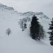 Bei Hinterwängi endlich über dem Nebel, Blick zum Chüemettler.