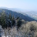 Blick vom Hochwachtturm über die Albiskette bis zum Üetliberg.