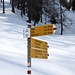 <b>Il sentiero per l'Alpe Cadonighino è "cancellato" dalla neve.</b>