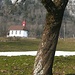 gedrehter Baum vor Kapelle