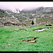 Göge Alm oberhalb von Weissenbach, Zillertaler Alpen, Ahrntal, Südtirol, Italien