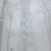 Aussichtsturm im Nebel