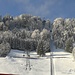 Neuschnee wie im tiefsten Winter