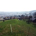 Blick über Adliswil – links oder rechts um die Schafweide herum zurück in die Zivilisation.