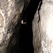 In der Vehmhöhle stört das Gemuffel, das man auf dem Bild natürlich nicht sieht :-)
