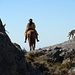 Wilder Westen? Nein - "Horse Riding", in Andalusien vielerorts angeboten und vor allem bei englischen Touristen sehr beliebt