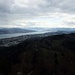 Zürichsee vom Aussichtsturm.