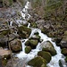 viel Schmelzwasser macht den Grönbach heute besonders attraktiv