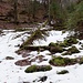 allmählich nahen winterliche Gefilde