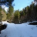 ziemlich viel Schnee liegt bei der Brücke bei P. 1082, wo wir den Grönbach überqueren