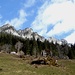 ab der Grönhütte steigen wir in nordwestlicher Richtung auf der Wiese steil und direkt an zur Fahrstrasse nahe P. 1263 ...