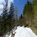 ... welche hier allerdings beachtlich viel Schneeauflage zeigt